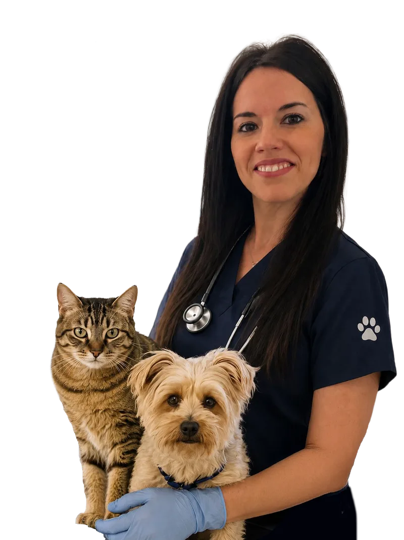 Cristina Fernández, Veterinaria a Domicilio en Benidorm